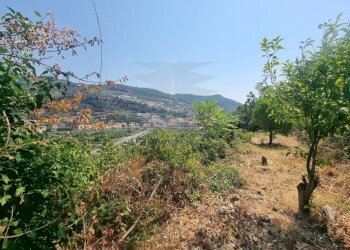 5960970061012995607 - Terreno agricolo Via Daffra 20, Ventimiglia - foto 5