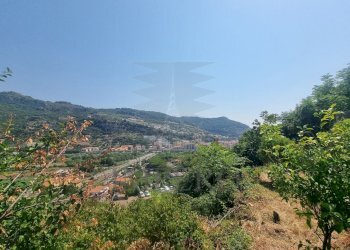 5960970061012995608 - Terreno agricolo Via Daffra 20, Ventimiglia - foto 6