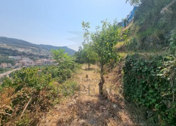 5960970061012995609 - Terreno agricolo Via Daffra 20, Ventimiglia - foto 7