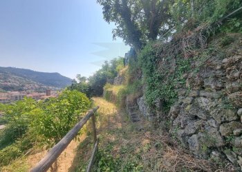 5960970061012995610 - Terreno agricolo Via Daffra 20, Ventimiglia - foto 8