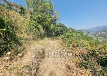 5960970061012995611 - Terreno agricolo Via Daffra 20, Ventimiglia - foto 9