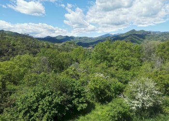 Trilocale in locazione turistica - Appartamento Villanova d'Albenga - foto 13