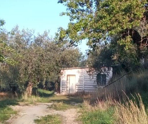 WhatsApp Image 2026-04-17 at 11.39.44 (6) - Rustico Via dei Caolini 334, Marcellina - foto 1