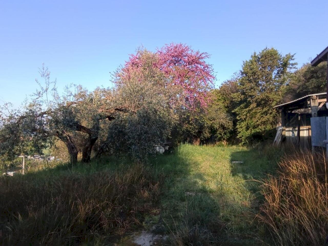 WhatsApp Image 2026-04-17 at 11.39.44 (3) - Rustico Via dei Caolini 334, Marcellina - foto 3