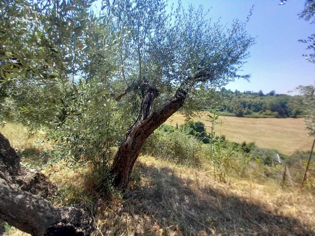 3 - Rustico Via dei Caolini 334, Marcellina - foto 2
