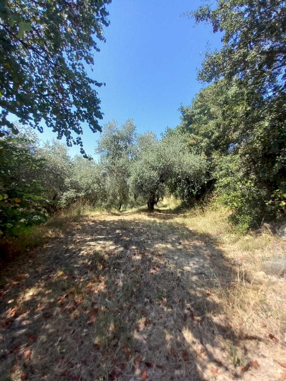 4 - Rustico Via dei Caolini 334, Marcellina - foto 3