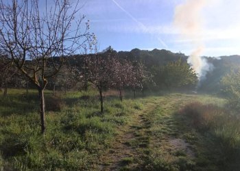 WhatsApp Image 2026-04-17 at 11.39.44 (4) - Rustico Via dei Caolini 334, Marcellina - foto 4