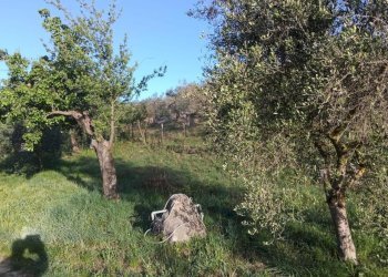 WhatsApp Image 2026-04-17 at 11.39.44 (5) - Rustico Via dei Caolini 334, Marcellina - foto 5