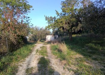 WhatsApp Image 2026-04-17 at 11.39.44 (6) - Rustico Via dei Caolini 334, Marcellina - foto 6