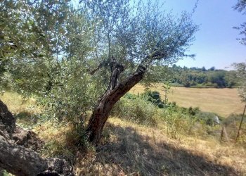 3 - Rustico Via dei Caolini 334, Marcellina - foto 2