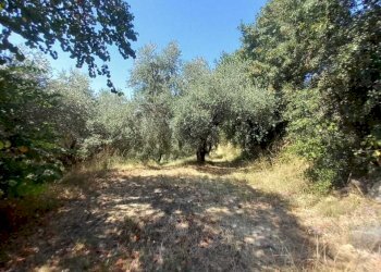4 - Rustico Via dei Caolini 334, Marcellina - foto 3