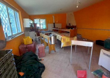 6 - Rustico Via dei Caolini 334, Marcellina - foto 5