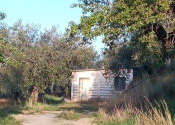 9 - Rustico Via dei Caolini 334, Marcellina - foto 8