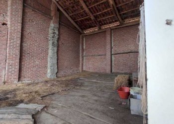 Immagine WhatsApp 2025-08-04 ore 11.44.46_3d961a5d - Terratetto - Terracielo via della Villa 10, Loranzè - foto 23