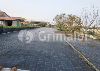 Terreno - Villa Villata - photo 30