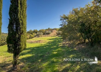 Rustico Località Pratalenza, SNC, Piegaro - foto 17