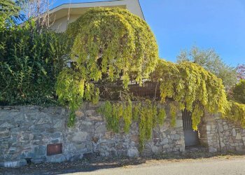 Villa Coassolo Torinese - photo 1