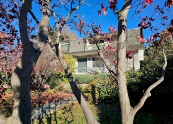 Villa Coassolo Torinese - photo 5