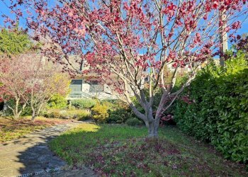 Villa Coassolo Torinese - photo 15