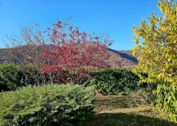 Villa Coassolo Torinese - photo 16