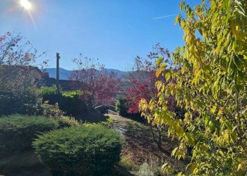 Villa Coassolo Torinese - photo 44