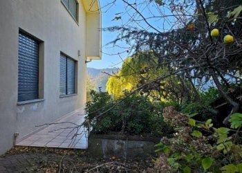 Villa Coassolo Torinese - photo 49