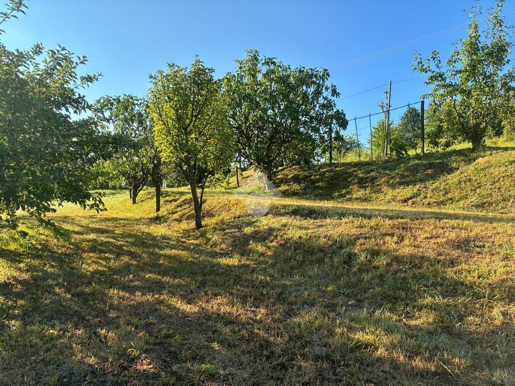 Villa Via Circonvallazione, Gassino Torinese - foto 2