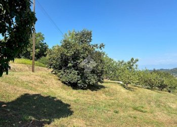 Villa Via Circonvallazione, Gassino Torinese - foto 3