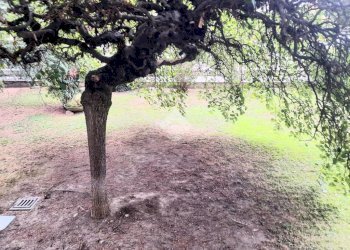 Quadrilocale Via Garessio, Torino (zona Nizza Millefonti) - foto 5