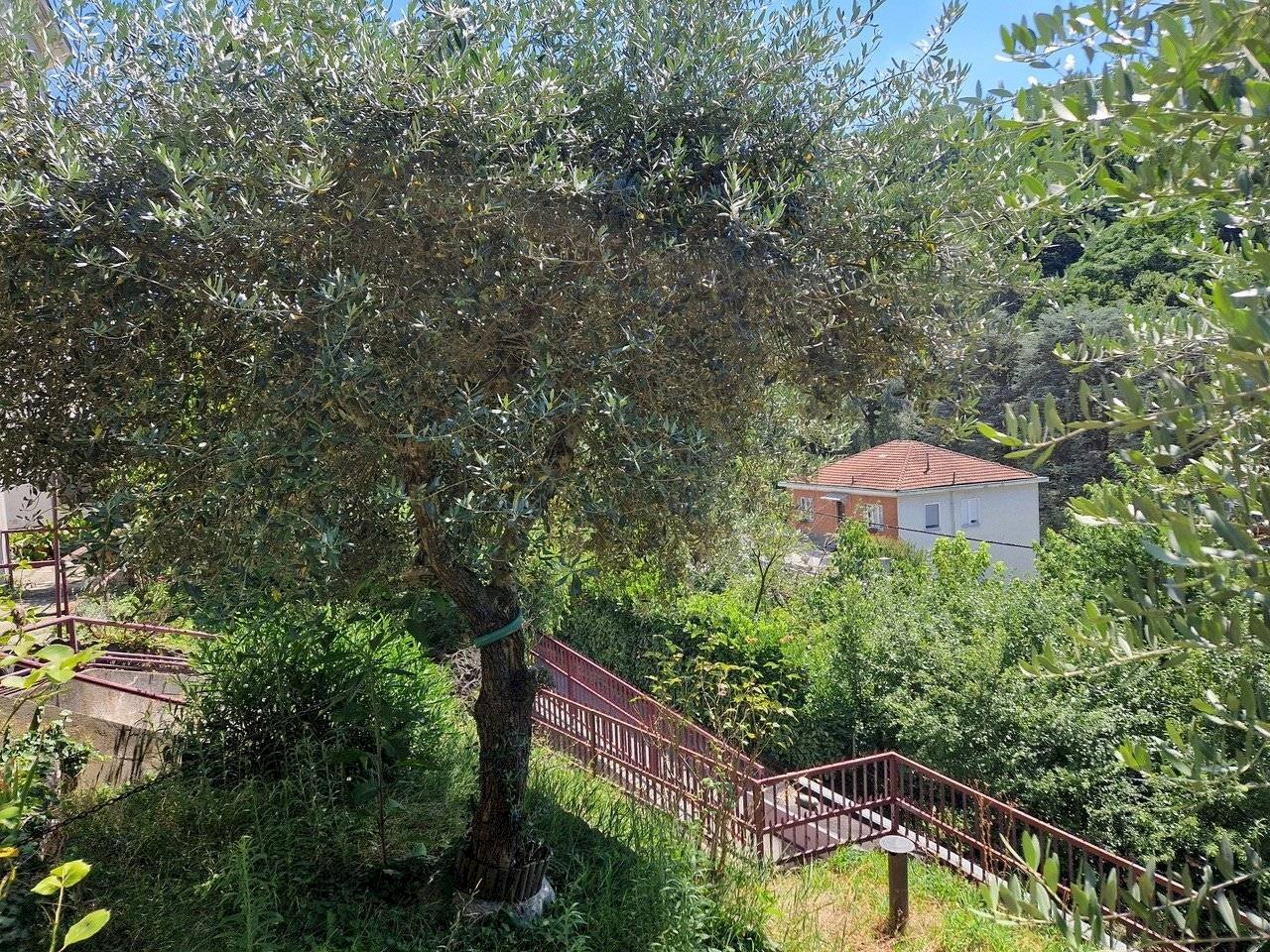 Villa Bifamiliare Corso Chieri, 29/7, Torino (zona Madonna del Pilone) - foto 2