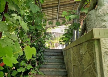 Semi-detached Villa Corso Chieri, 29/7, Torino (neighborhood Madonna del Pilone) - photo 18