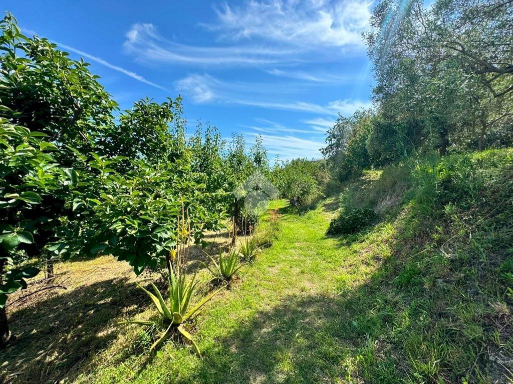 Terreno agricolo Salita cappuccini, Genova (zona Coronata) - foto 1