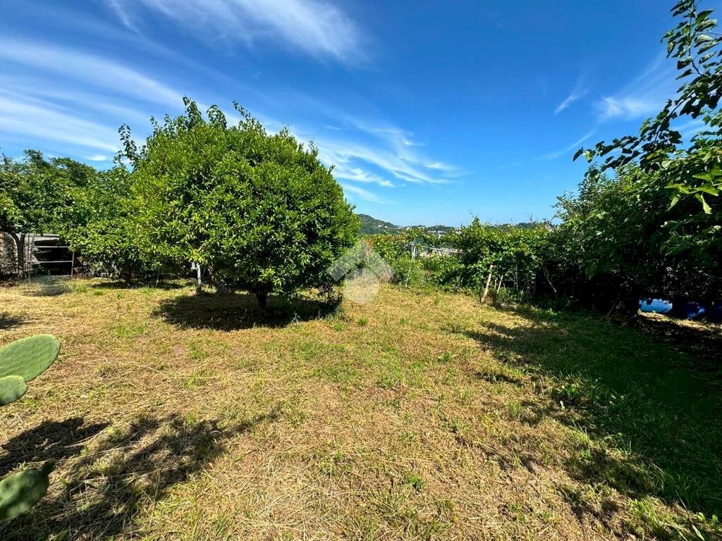 Terreno agricolo Salita cappuccini, Genova (zona Coronata) - foto 3