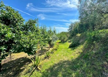 Terreno agricolo Salita cappuccini, Genova (zona Coronata) - foto 1
