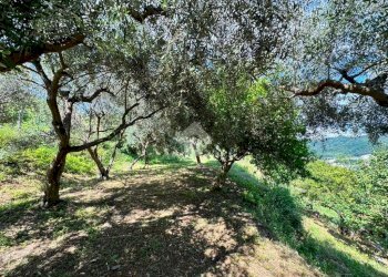 Terreno agricolo Salita cappuccini, Genova (zona Coronata) - foto 2