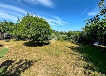 Terreno agricolo Salita cappuccini, Genova (zona Coronata) - foto 3