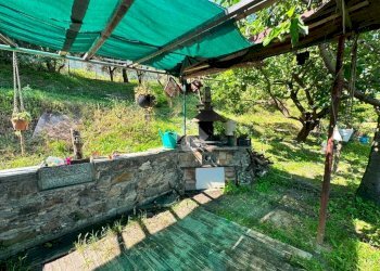 Terreno agricolo Salita cappuccini, Genova (zona Coronata) - foto 8