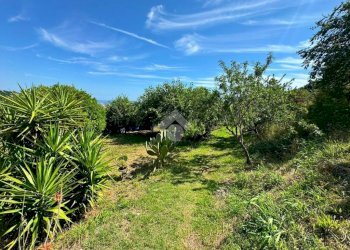 Terreno agricolo Salita cappuccini, Genova (zona Coronata) - foto 9
