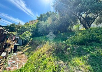 Terreno agricolo Salita cappuccini, Genova (zona Coronata) - foto 10