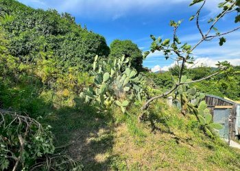 Terreno agricolo Salita cappuccini, Genova (zona Coronata) - foto 11