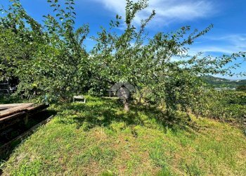 Terreno agricolo Salita cappuccini, Genova (zona Coronata) - foto 13