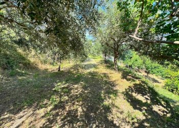 Terreno agricolo Salita cappuccini, Genova (zona Coronata) - foto 14