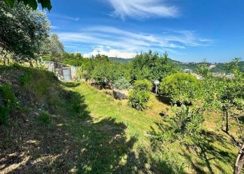 Terreno agricolo Salita cappuccini, Genova (zona Coronata) - foto 15