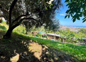 Terreno agricolo Salita cappuccini, Genova (zona Coronata) - foto 16