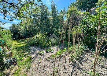 Terreno agricolo Salita cappuccini, Genova (zona Coronata) - foto 17