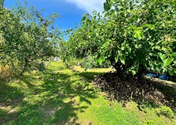 Terreno agricolo Salita cappuccini, Genova (zona Coronata) - foto 20