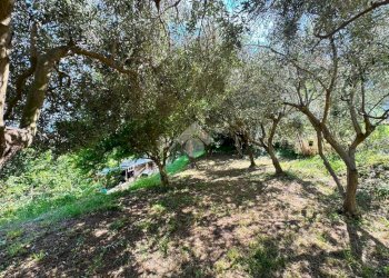 Terreno agricolo Salita cappuccini, Genova (zona Coronata) - foto 21