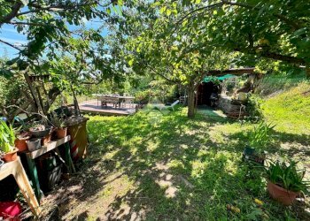 Terreno agricolo Salita cappuccini, Genova (zona Coronata) - foto 23