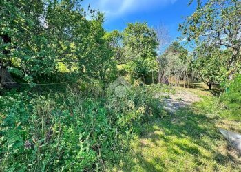 Terreno agricolo Salita cappuccini, Genova (zona Coronata) - foto 26