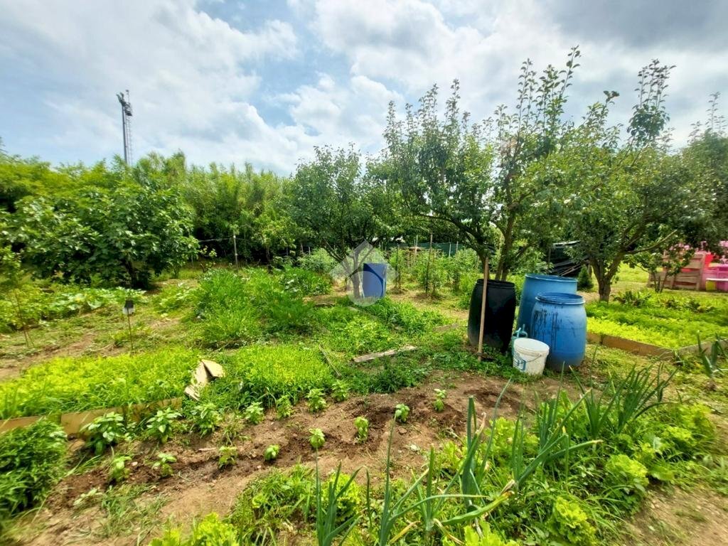 Terreno agricolo Via villoresi, Sedriano - foto 2